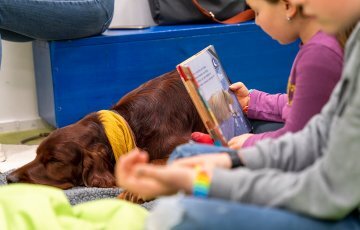 05-carla-6-liest-und-streichelt-milow