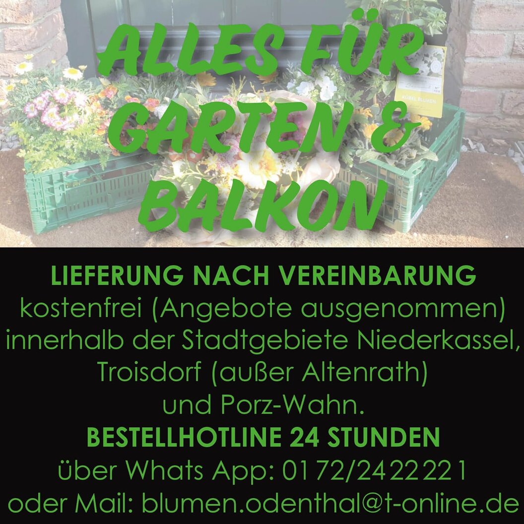 170883295_3876651212454100_123515383950343711_n 170883295_3876651212454100_123515383950343711_n