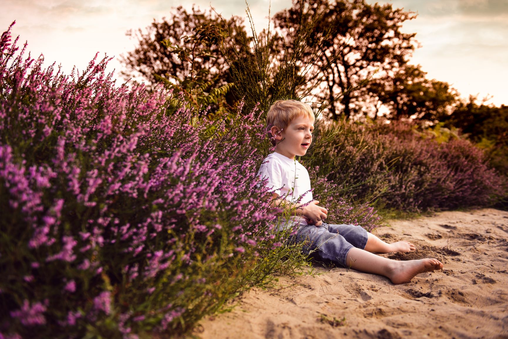 Aktion_Heide Aktion_Heide