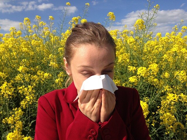 allergy-gb78403af0_640 allergy-gb78403af0_640