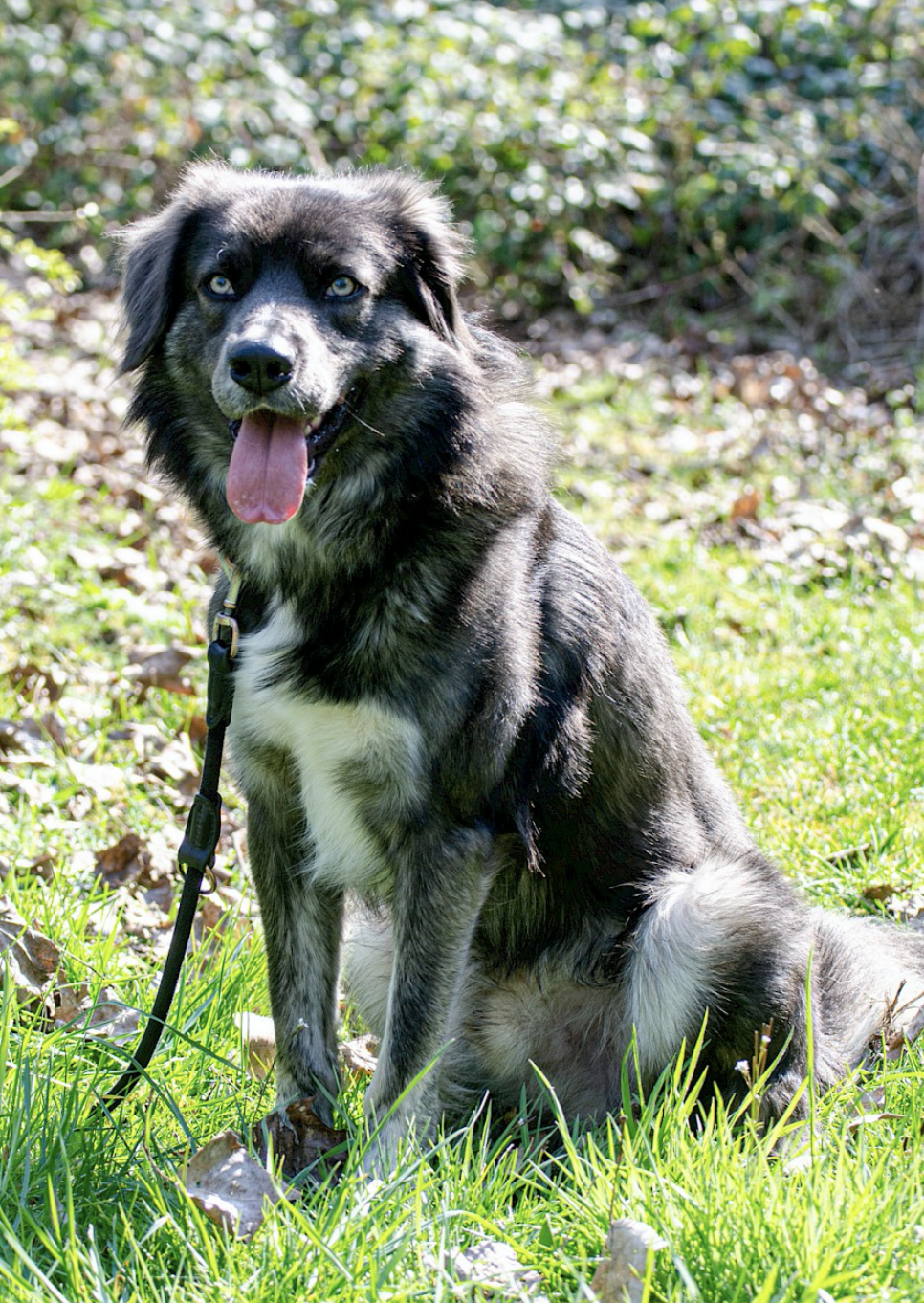 Bildschirmfoto 2020-04-27 um 11.42.50 Bildschirmfoto 2020-04-27 um 11.42.50
