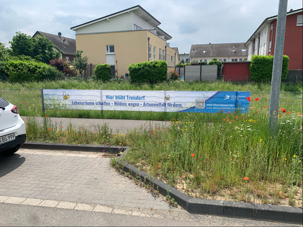 Blühstreifen_-_Versickerungsbecken_Am_Krausacker_unmittelbar_gegenüber_dem_Neubaugebiet_der_Astrid-Lindgren-Str Blühstreifen_-_Versickerungsbecken_Am_Krausacker_unmittelbar_gegenüber_dem_Neubaugebiet_der_Astrid-Lindgren-Str