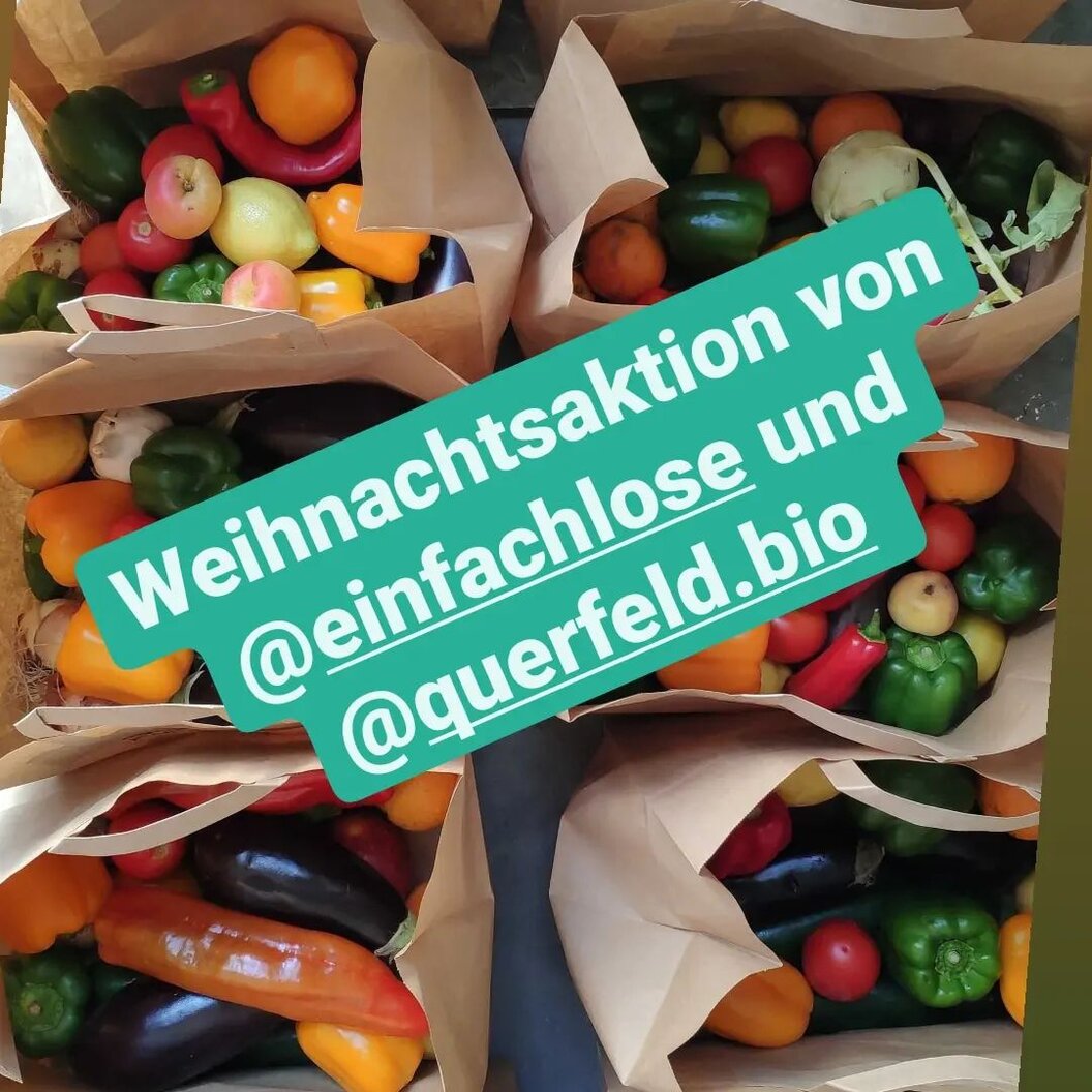 einfachlose einfachlose