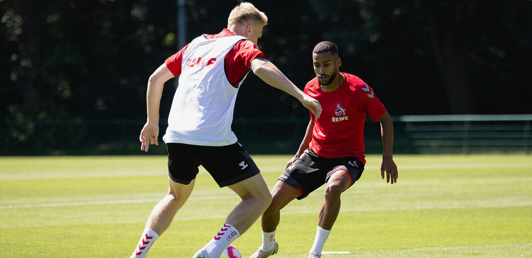 fc köln fc köln