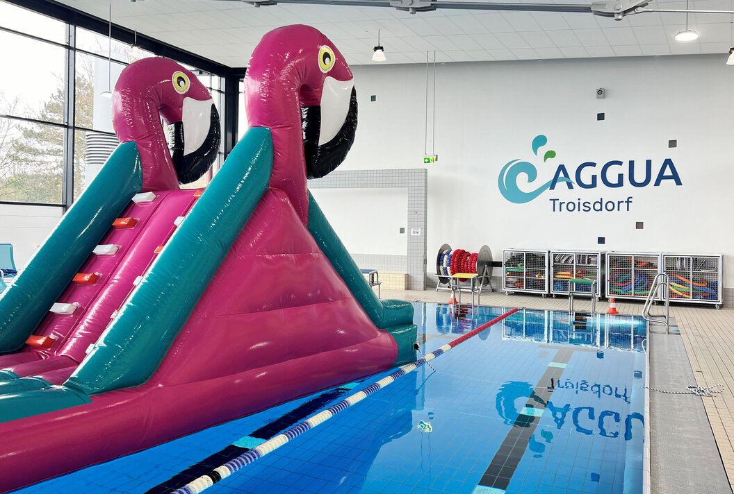 Flamingo SprinGO im AGGUA TROISDORF Flamingo SprinGO im AGGUA TROISDORF