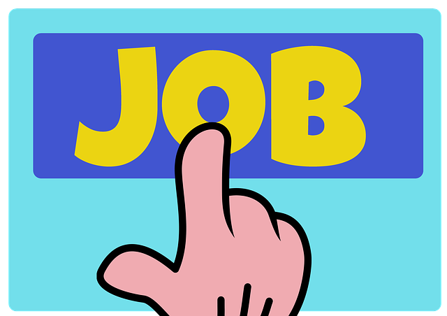 job-search-g13a3e9196_640 job-search-g13a3e9196_640