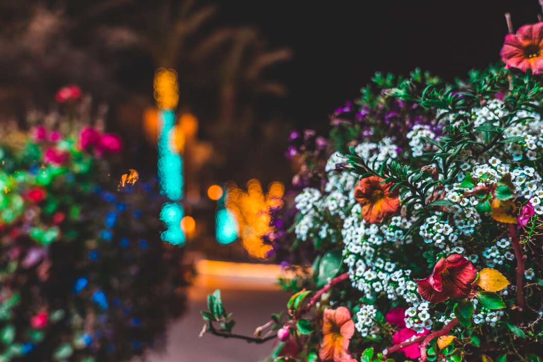 jt-17iBF7ja6Nc-unsplash jt-17iBF7ja6Nc-unsplash