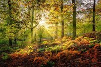 Kalender-zur-Vorfreude-auf-2021-Beeindruckende-Bilder-aus-der_medium Kalender-zur-Vorfreude-auf-2021-Beeindruckende-Bilder-aus-der_medium