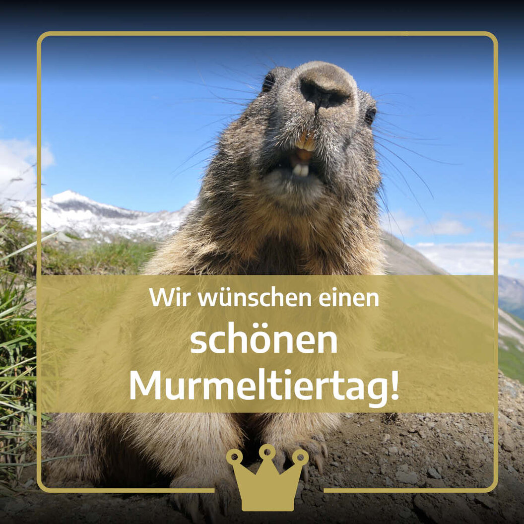 kronprinz111_n kronprinz111_n