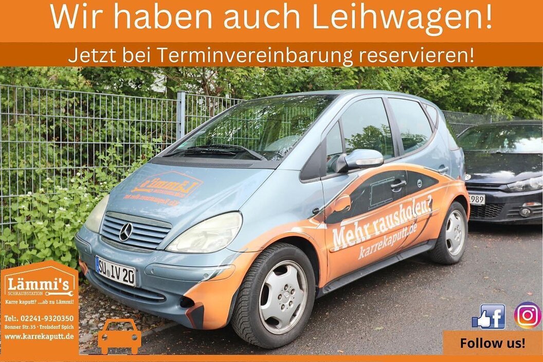 Lämmis_neu Lämmis_neu