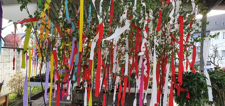 maibaum maibaum