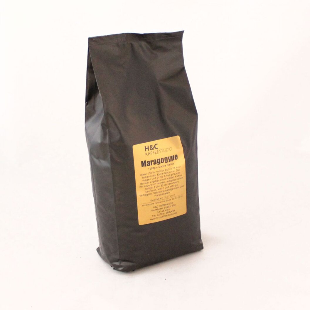 marago_600x600@2x marago_600x600@2x