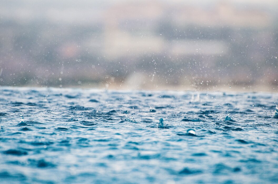 max-22x7fxFpl_8-unsplash max-22x7fxFpl_8-unsplash