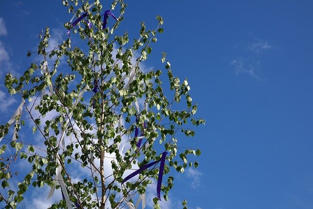 maypole-g42e21e781_640 maypole-g42e21e781_640