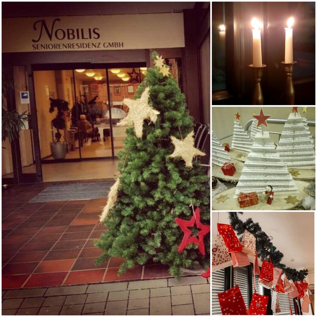 nobilis53_n nobilis53_n