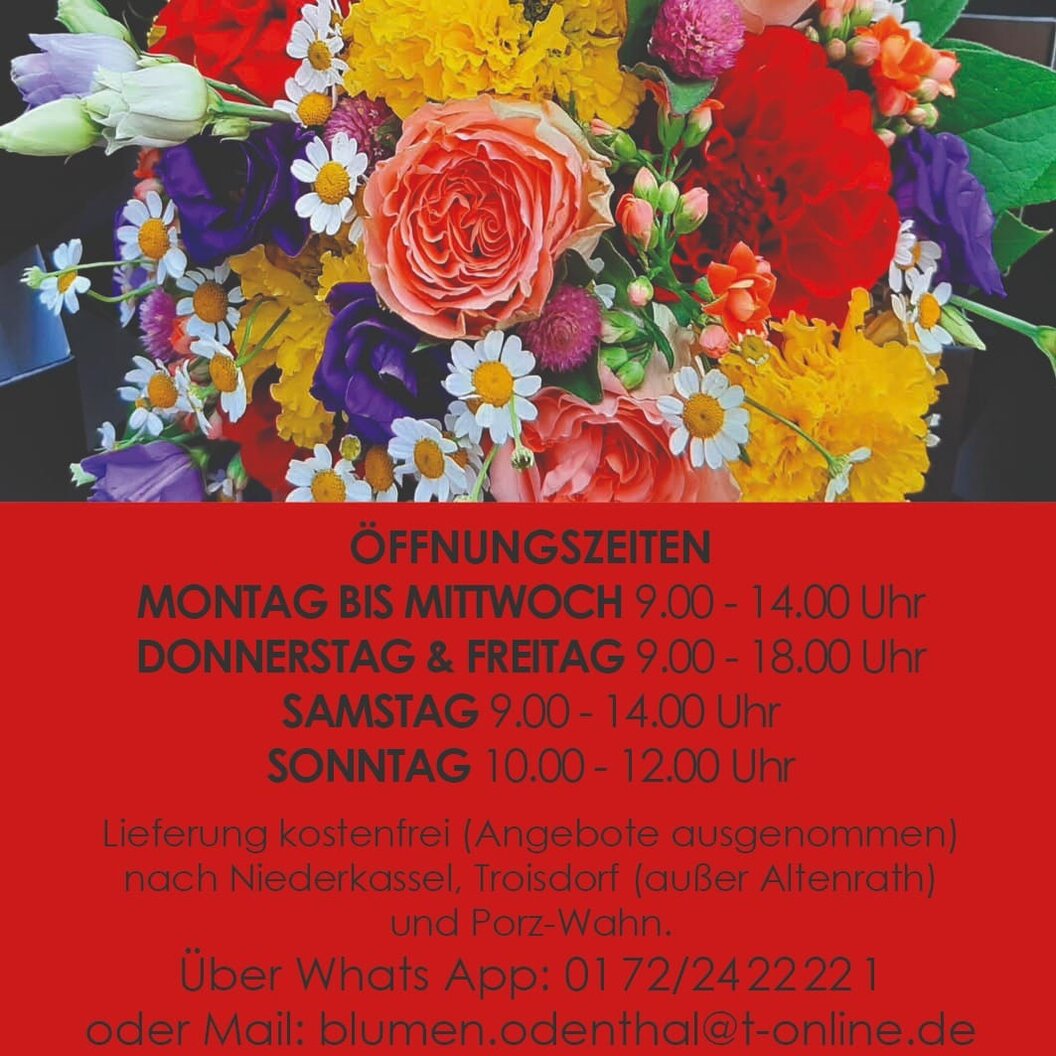 odenthal223_n odenthal223_n