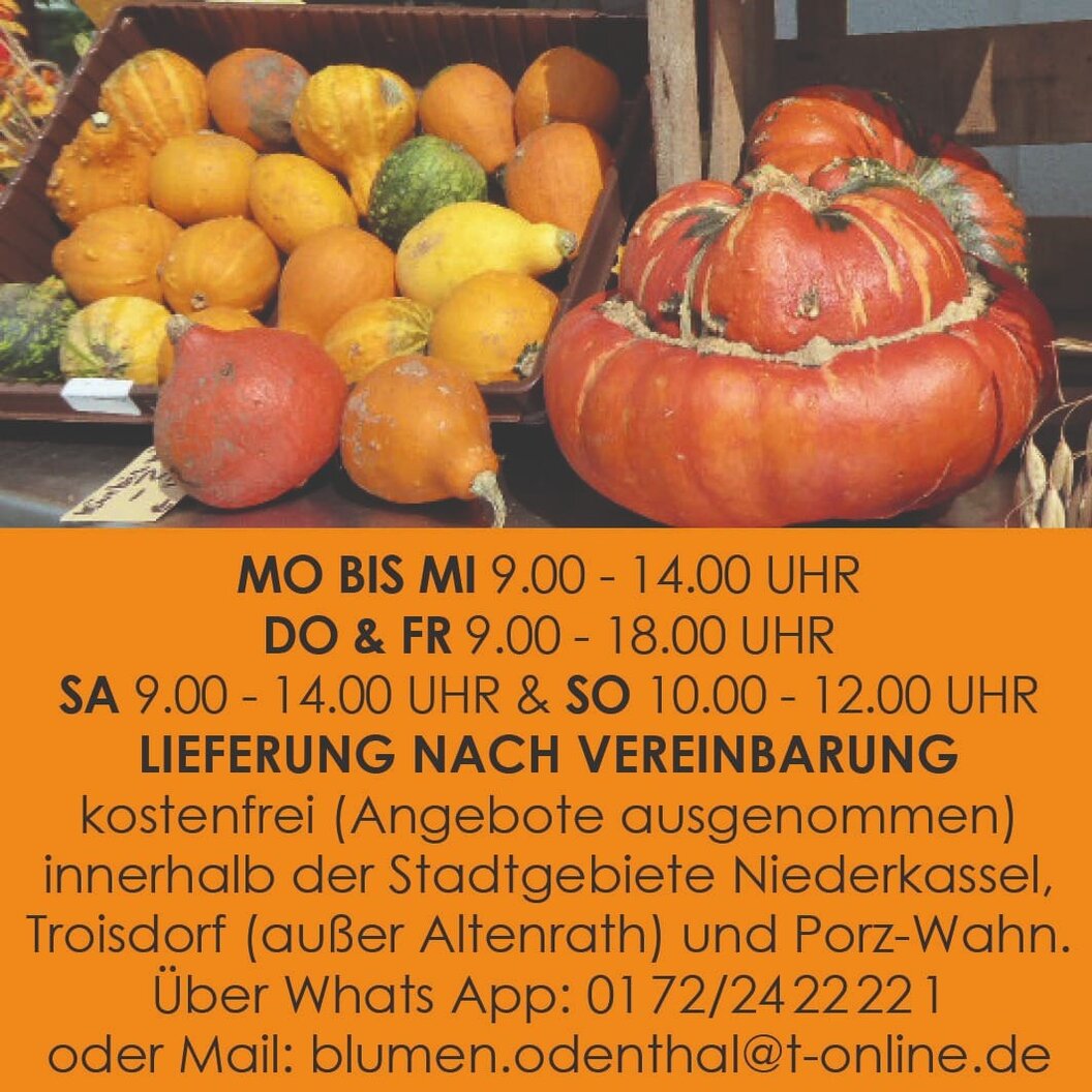 odenthal475_n odenthal475_n