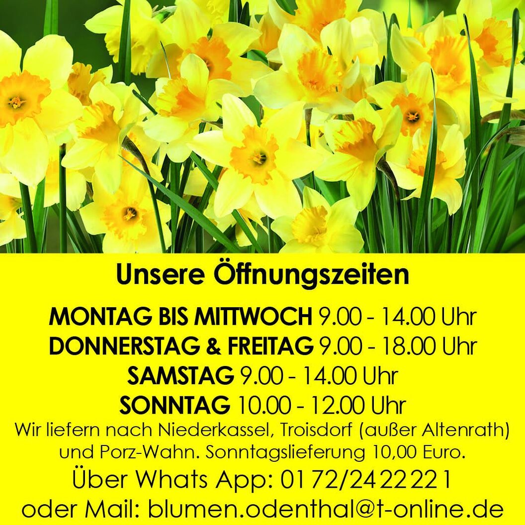 odenthal odenthal