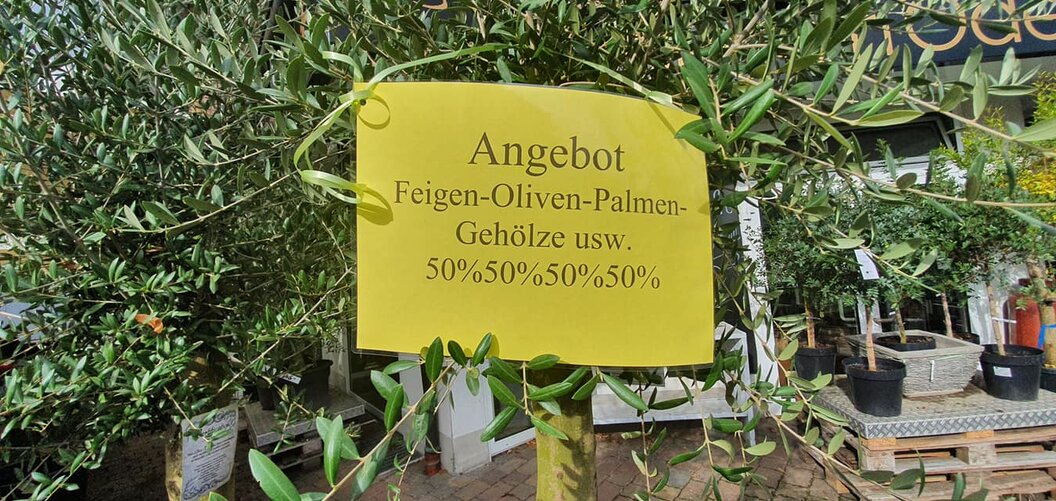 odenthal77770_n odenthal77770_n
