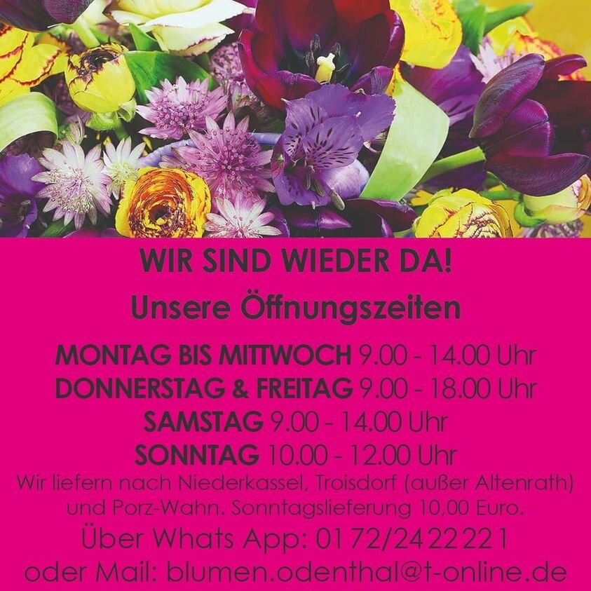 odenthal962_n odenthal962_n