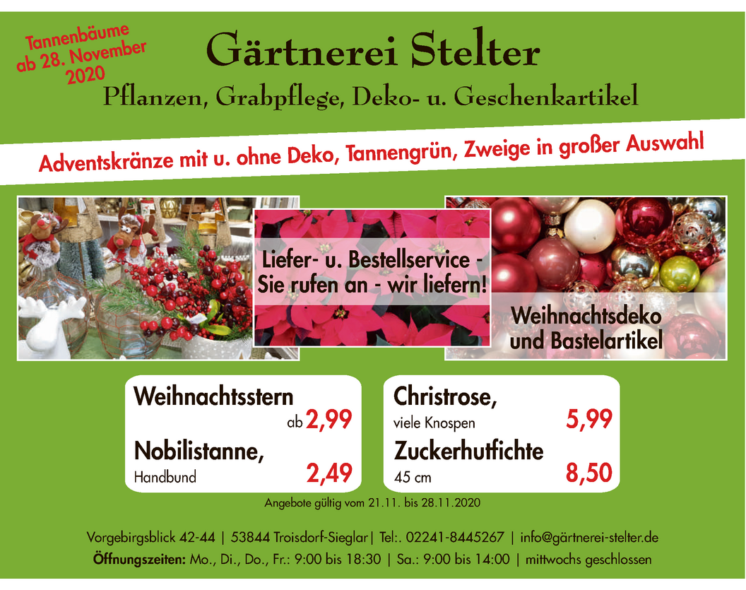 Pflanzenwelt_Stelter Pflanzenwelt_Stelter