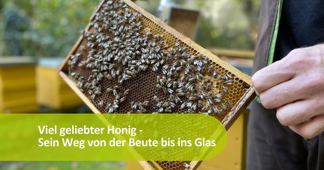 rosenau1 rosenau1