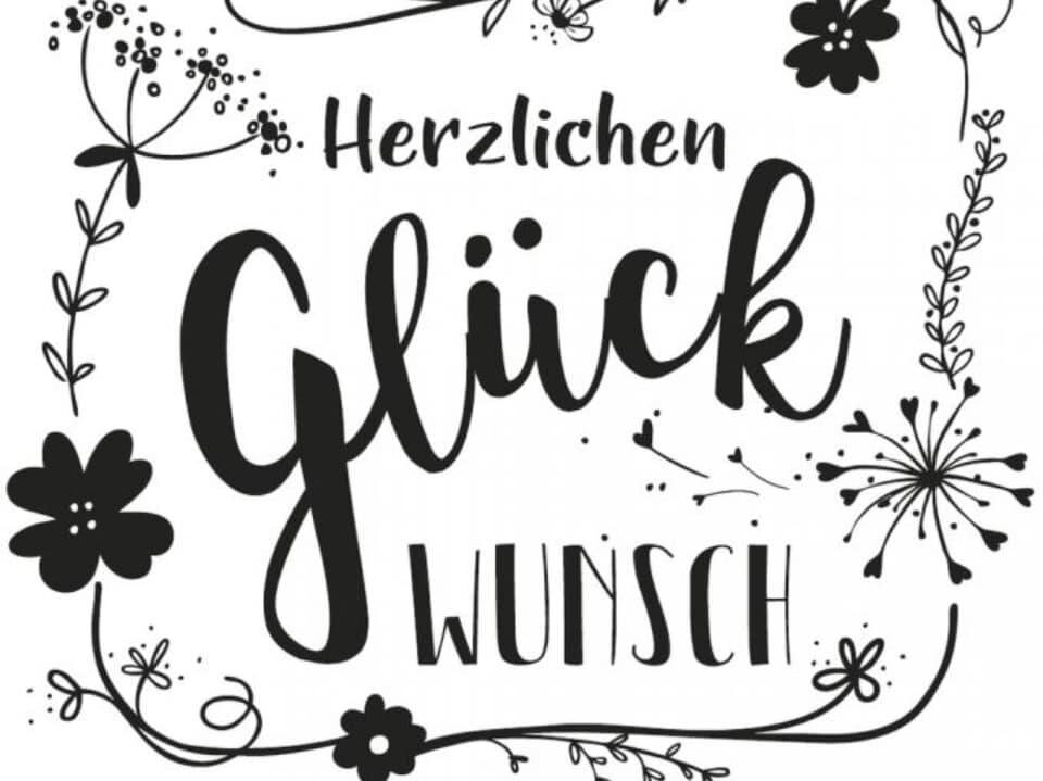 schmidt72366_n schmidt72366_n