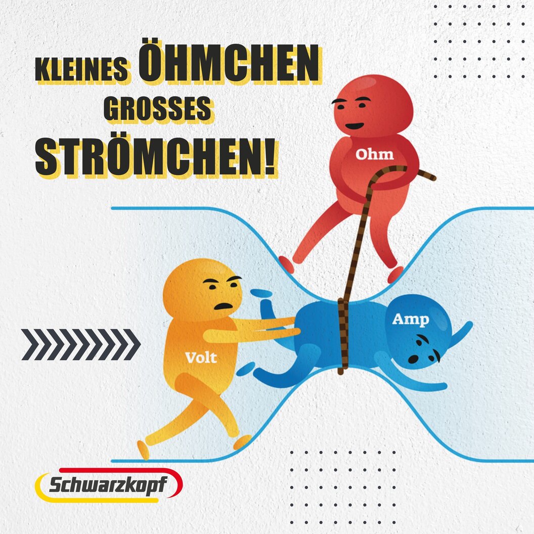 schwarzkopf schwarzkopf