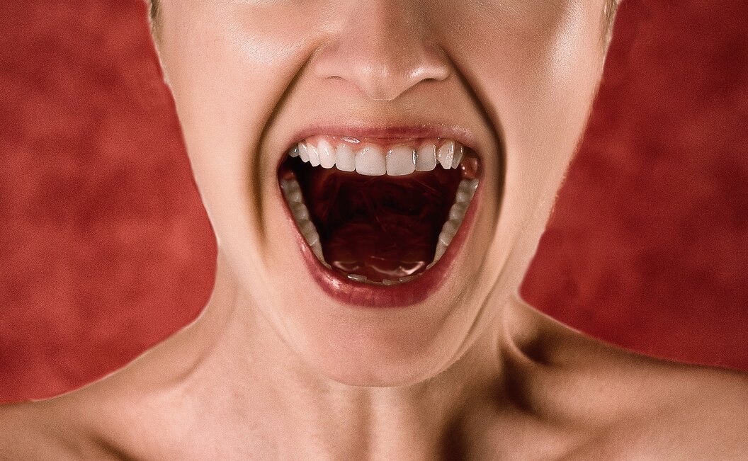 scream-g927f66d0a_1920 scream-g927f66d0a_1920