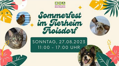 Screenshot 2023-08-02 at 17-44-29 Instagram