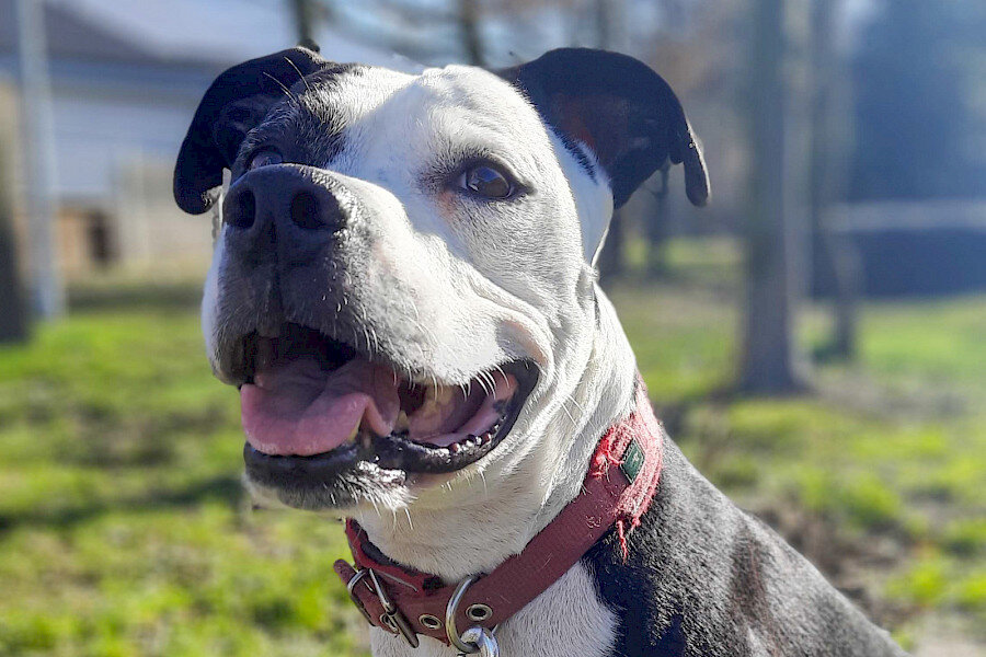 shelly-210221-013.900x0 shelly-210221-013.900x0
