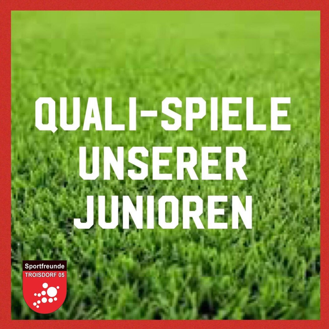 sportfreunde sportfreunde