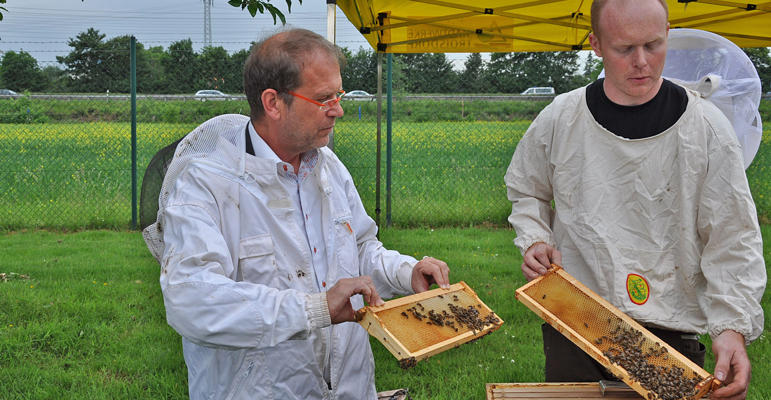 Stadtwerke_Bienen