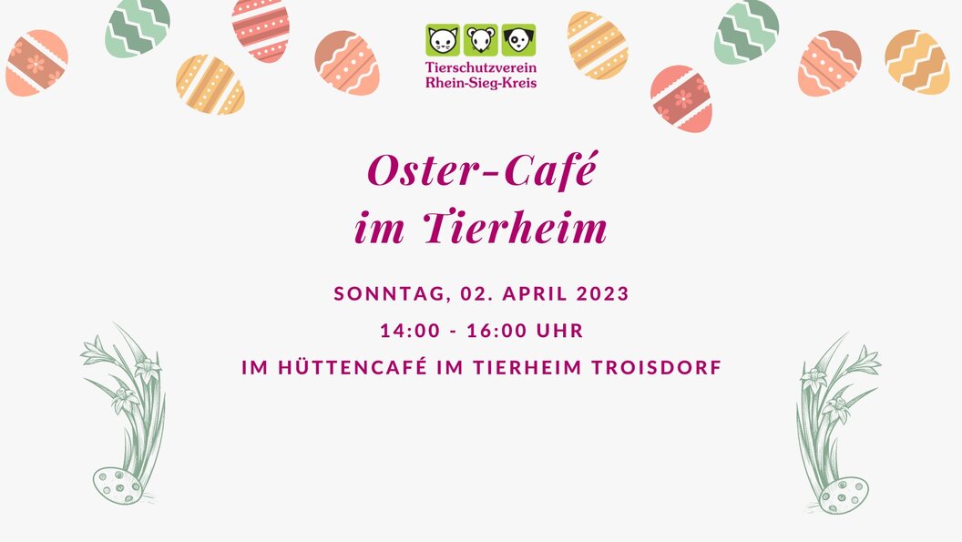 tierheim tierheim