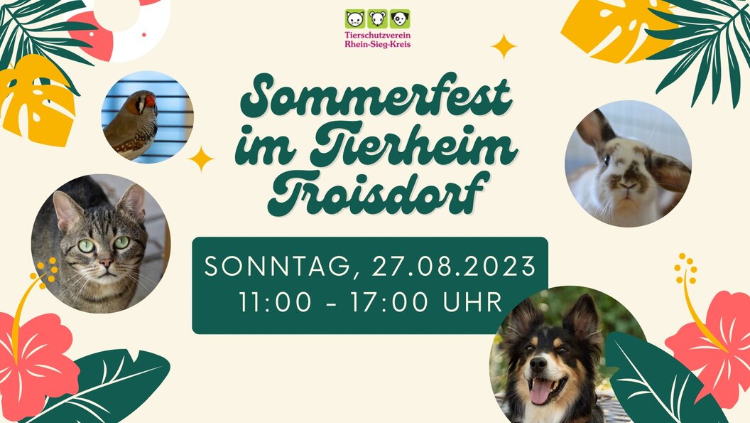tierheim tierheim