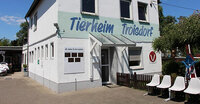 tierheimg-Kreis-e.V_medium tierheimg-Kreis-e.V_medium