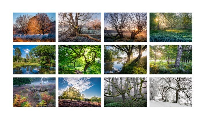 Wahner_Heide_Kalender_Übersicht_Pütz Wahner_Heide_Kalender_Übersicht_Pütz