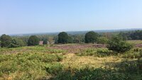 Wald-und-Wildtag_medium Wald-und-Wildtag_medium