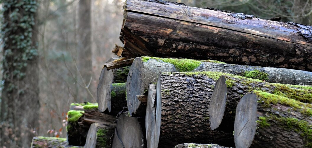 wood-3111039-1920 wood-3111039-1920