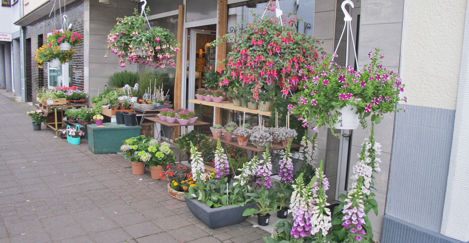 Troisdorf City Es ist Pflanzzeit Blumen Becker Ihr Florist