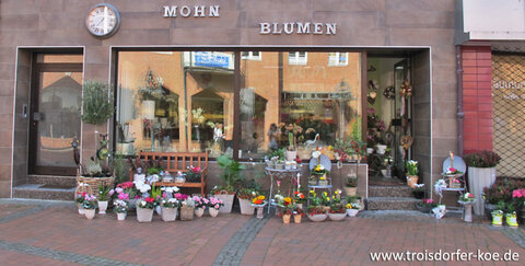 KÖ70 - Mohn Blumen