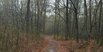 Eher herbstliches statt frühlingshaftes Wetter in Troisdorf wahnerheide ortsteil Altenrath wald natur trocity trolive trocitylive stadttroisdorf