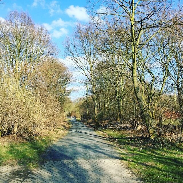 Ein wunderschöner Morgen voller Sonnenstrahlen  Frühlingsgefühle Habt alle einen guten Start in den Tag troisdorf stadttroisdorf trolive trocity tr...