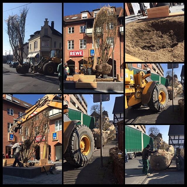 Frühling in der Fußgängerzone   Heute wurde der ZITIBaum gesetzt  Morgen um 14 Uhr finden die Feierlichkeiten dazu statt  zukunftsinitiativetroisdo...