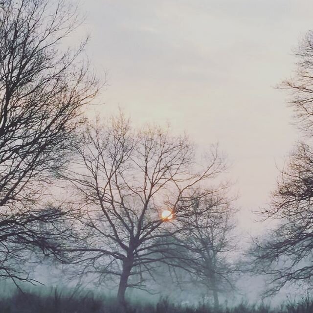 Jeden Morgen fahre ich an der Stelle in der Heide vorbei und denke das müsste ich unbedingt fotografieren Heute Morgen ist mir eine Kollegin zuvorg...