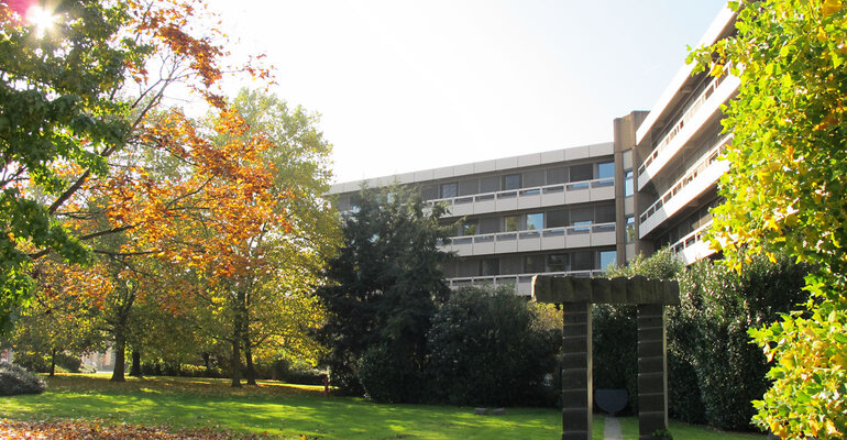 Seitenansicht des Rathaus