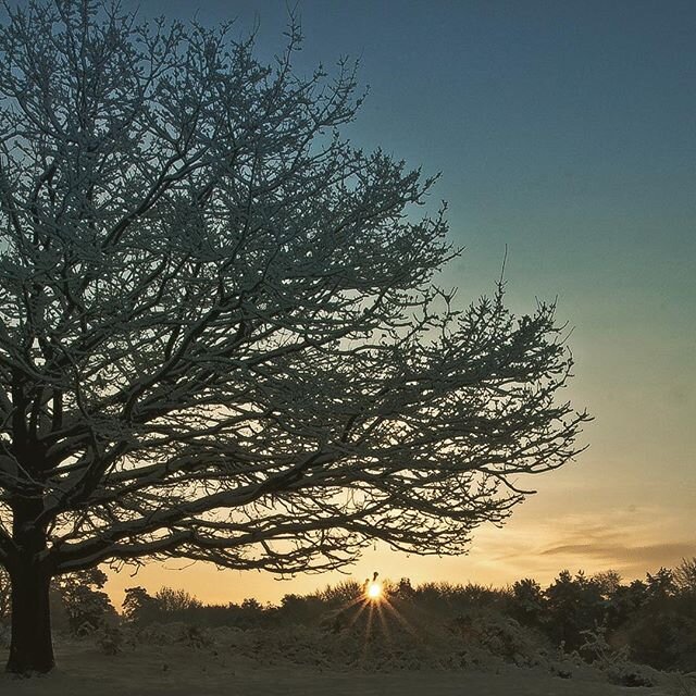 Wahner Heide auch im Winter schön