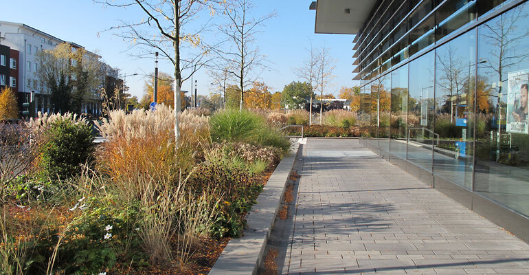  Stadthalle Troisdorf - Herbstliches Impressionen