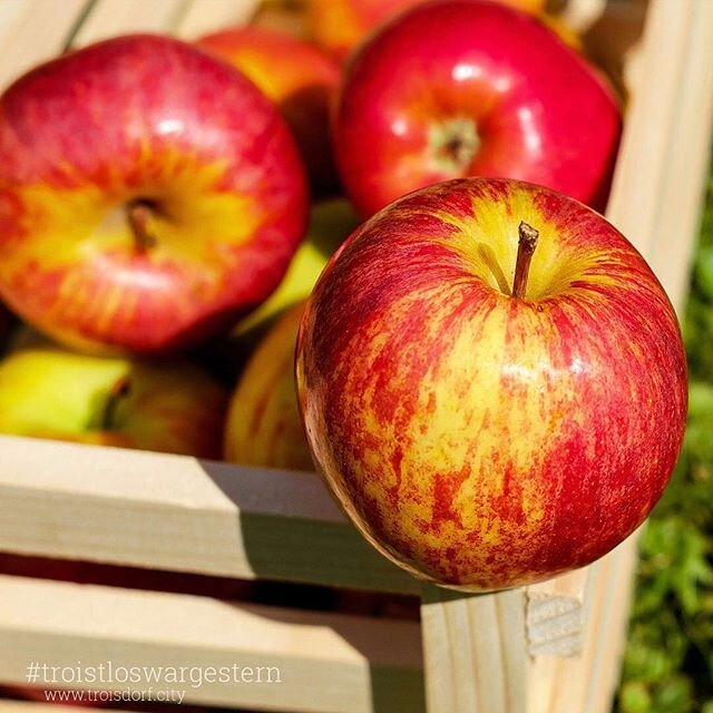 Apropos Erkältungszeit an apple a day keeps the doctor away wwwtroisdorfcity troistloswargestern troisdorfcity troisdorf apple fruits apfel Apropos Erkältungszeit an apple a day keeps the doctor away wwwtroisdorfcity troistloswargestern troisdorfcity troisdorf apple fruits apfel
