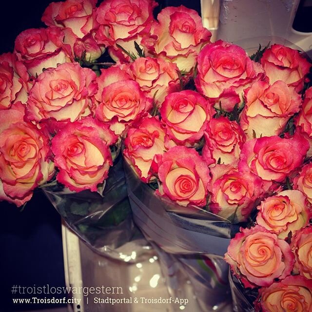 Bald ist Valentinstag Jetzt die besten Gärtnereien entdecken und Rosen reservieren Am Tag selbst sind die Rosen meistens schon alle weg